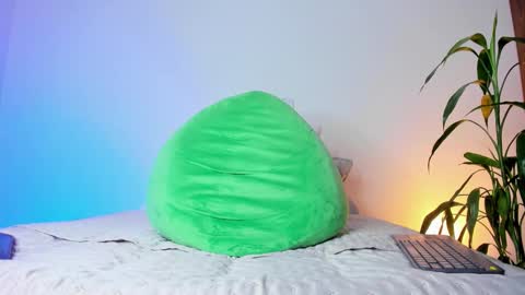     online show from November 12, 7:58 am