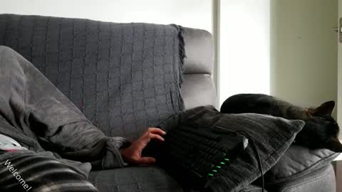 saulcontigo online show from January 28, 10:23 am