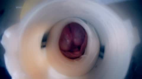 Scarr online show from February 9, 12:10 pm