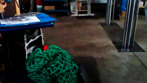 Snapshot of schmaichi chatting on March 10, 8:17 am schmaichi online show from March 10, 8:17 am