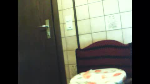 schnibschnab online show from November 10, 3:33 am