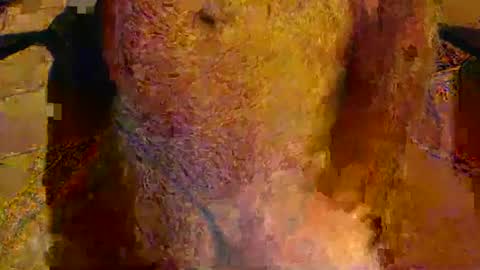 scott1usa online show from November 25, 5:31 am