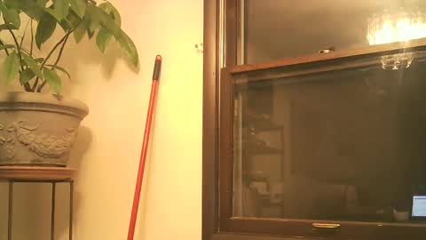 scottpbi52 online show from September 30, 2:07 am