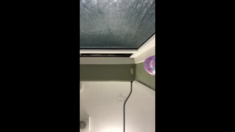 scottyc48 online show from April 11, 5:03 am