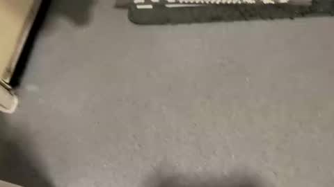 scottyc48 online show from December 1, 2:09 pm