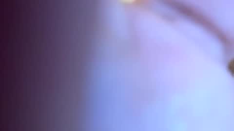 sexboy156565 online show from December 17, 7:04 pm