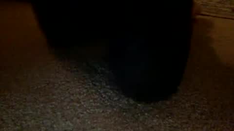 sexyandhot2222 online show from November 17, 4:37 am