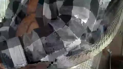 Sharkey644 online show from March 9, 1:59 pm