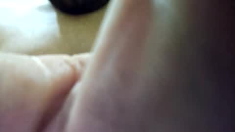 si53 online show from October 22, 2:54 pm