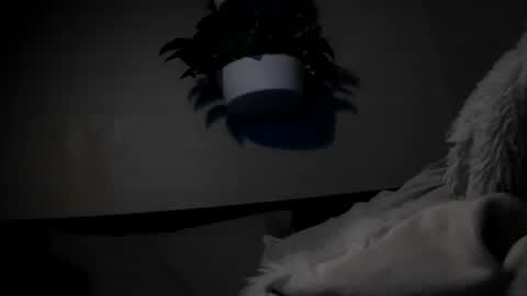 Danny skiff online show from October 3, 10:31 am