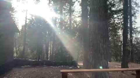 sirbubblesworth online show from January 11, 11:08 pm