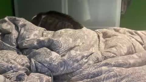 slice5 online show from December 21, 9:50 am