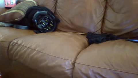 lilcox online show from October 8, 7:51 pm