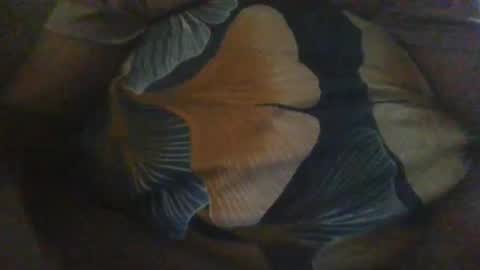 slothslav online show from December 18, 12:40 pm