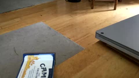 Solex C2C online show from April 28, 4:11 pm