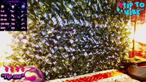 SONIC online show from January 17, 4:17 am