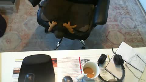 SOUTHERNBONES online show from September 29, 3:08 pm