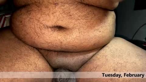 space Dog25 online show from February 3, 2:20 am