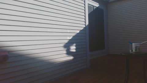 srtxshow online show from February 9, 3:16 pm