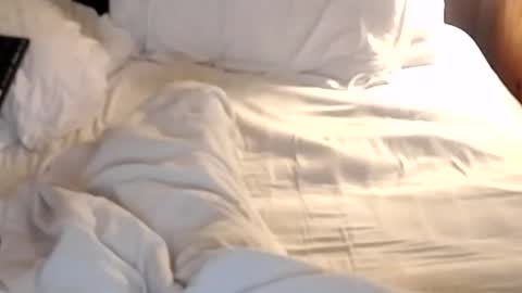 st8llion online show from January 24, 7:19 am