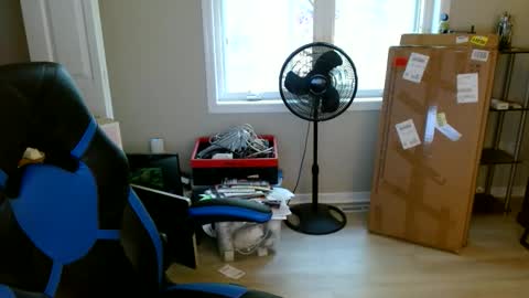 Steakman online show from May 4, 12:07 pm