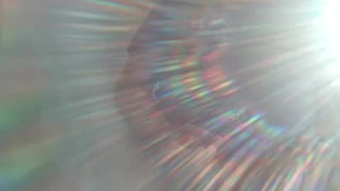 Steeg online show from February 5, 11:55 am