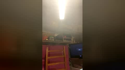 stsnutshell online show from April 1, 11:23 am