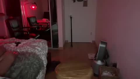 suavedailly online show from November 19, 9:31 am