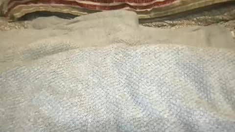 suckonthis318 online show from September 22, 10:48 am