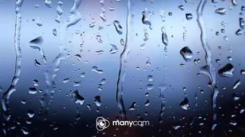 sven online show from January 13, 3:15 pm