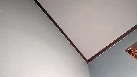 BIGDGEE online show from March 3, 9:18 am