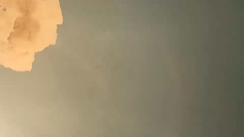 BIGDGEE online show from December 14, 2:21 pm