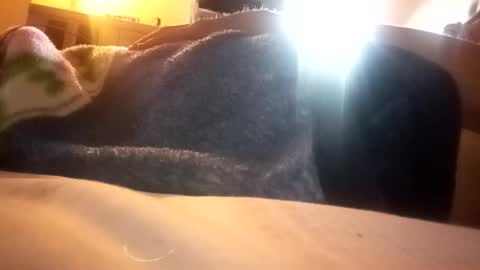 superdavedetailzz2025 online show from October 31, 11:24 am