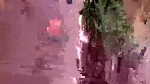 surfbody online show from November 5, 10:34 pm