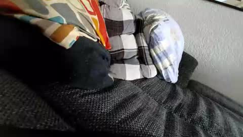 Sweetboy online show from July 31, 2:49 pm