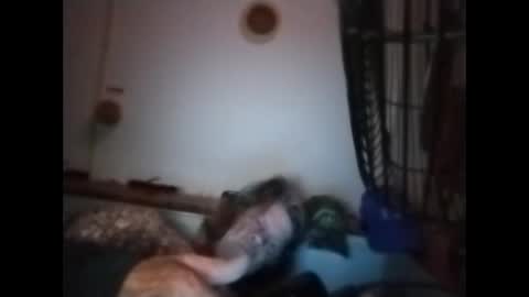 sweetsugar64 online show from March 8, 6:17 am