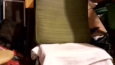 syevecrl online show from February 15, 8:56 am