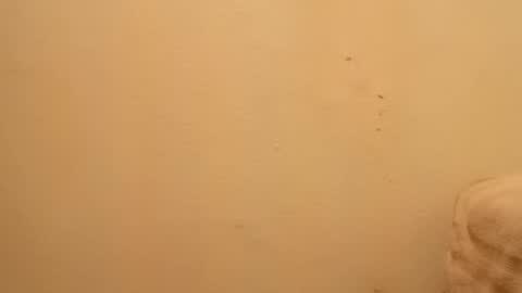 tadfn online show from December 11, 11:32 am