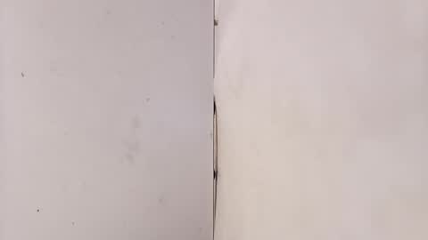 tall6feet7inch online show from March 15, 9:17 am