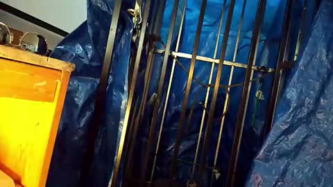 tatonkaboy online show from April 26, 8:16 pm