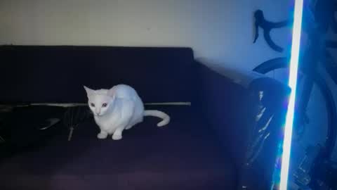 teddy_bananaaa online show from May 11, 2:45 pm
