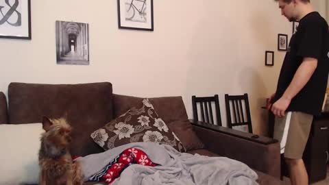 Teddy online show from March 3, 8:50 pm