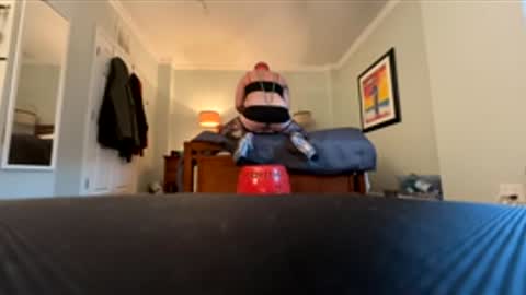 Ronchayyy online show from May 4, 11:23 am