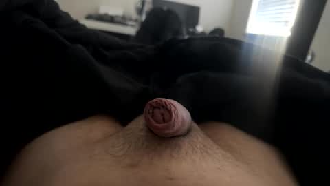 TheBoy online show from February 4, 1:39 pm