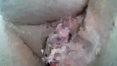 TheWhiteBuffalo online show from March 20, 5:28 pm