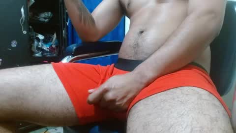 thehousedog online show from April 1, 1:41 pm