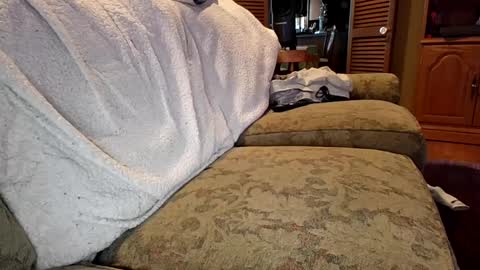 Snapshot of theicecreamguru chatting on October 8, 7:51 pm theicecreamguru online show from October 8, 7:51 pm