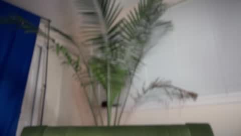 Snapshot of therealveggieboy chatting on October 20, 11:08 pm Pookie online show from October 20, 11:08 pm