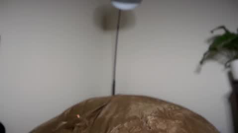 Pookie online show from January 8, 12:16 am