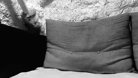 tigerbigcockkk online show from October 7, 8:24 pm